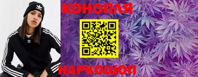 стафф Лесосибирск